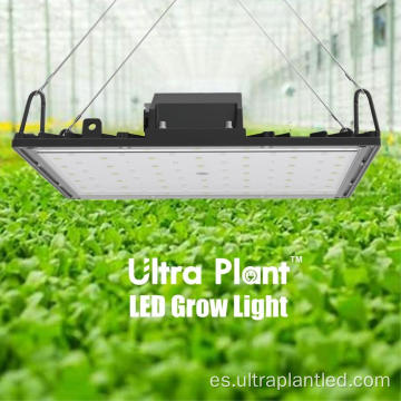 Toda la luz de cultivo LED de color rojo oscuro de 660nm